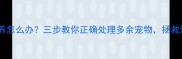 买了狗狗不想养怎么办三步教你正确处理多余宠物拯救流浪动物指南