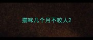 猫咪几个月不咬人