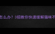 猫咪眼睛流泪鼻尖干怎么办3招教你快速缓解猫咪不适泪痕治理全攻略