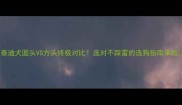 泰迪犬圆头VS方头终极对比选对不踩雷的选狗指南来啦