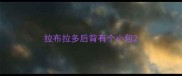 拉布拉多后背有个小包