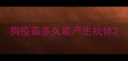 狗疫苗多久能产生抗体