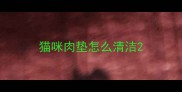 猫咪肉垫怎么清洁
