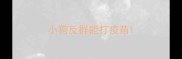 小狗反群能打疫苗
