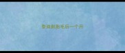 泰迪剃胎毛后一个月