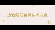 边牧陨石色鼻头有花色