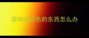猫咪吐黑色的东西怎么办
