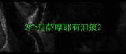 2个月萨摩耶有泪痕