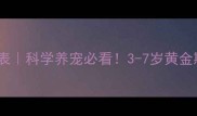 猫咪成年时间表科学养宠必看3-7岁黄金期养护全攻略