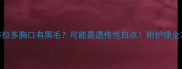拉布拉多胸口有黑毛可能是遗传性白点附护理全攻略