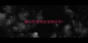 唐山市宠物店宠物会所