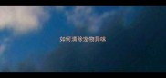如何清除宠物异味