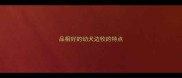 品相好的幼犬边牧的特点