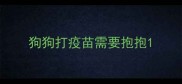 狗狗打疫苗需要抱抱