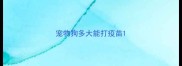 宠物狗多大能打疫苗