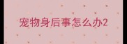 宠物身后事怎么办