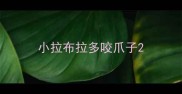 小拉布拉多咬爪子