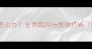 小狗呼吸急促嗜睡怎么办全面病因与急救措施附症状鉴别指南
