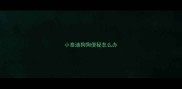 小泰迪狗狗便秘怎么办