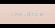 小狗关节炎怎么治