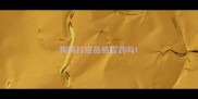 狗狗打疫苗感冒药吗