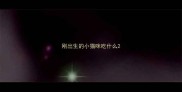 刚出生的小猫咪吃什么
