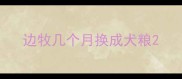 边牧几个月换成犬粮