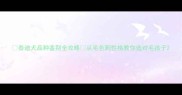泰迪犬品种鉴别全攻略从毛色到性格教你选对毛孩子