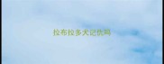 拉布拉多犬记仇吗