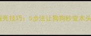训练拉布拉多假死技巧5步法让狗狗秒变木头狗的实战指南