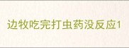 边牧吃完打虫药没反应