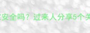 猫咪自己回家安全吗过来人分享5个关键注意事项