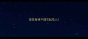 家里猫咪不理它就咬人