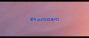 猫咪会到处拉屎吗