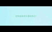 边牧皮肤痒总是咬自己
