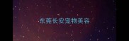东莞长安宠物美容