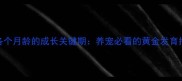金毛各个月龄的成长关键期养宠必看的黄金发育指南