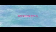 养拉布拉多吃什么