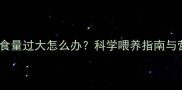 哈士奇幼犬食量过大怎么办科学喂养指南与营养管理全