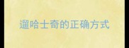 遛哈士奇的正确方式