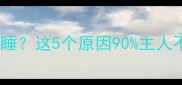 狗狗突然四肢无力嗜睡这5个原因90主人不知道速看应对指南