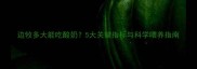边牧多大能吃酸奶5大关键指标与科学喂养指南