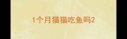 1个月猫猫吃鱼吗
