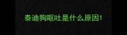 泰迪狗呕吐是什么原因