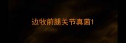 边牧前腿关节真菌