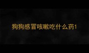 狗狗感冒咳嗽吃什么药