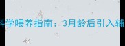 幼猫何时添加肉类科学喂养指南3月龄后引入辅食4阶段营养管理法