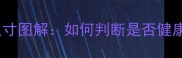 大拉布拉多脚掌尺寸图解如何判断是否健康附护理全攻略