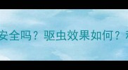 猫咪对艾叶的气味安全吗驱虫效果如何科学解答与饲养指南