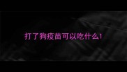 打了狗疫苗可以吃什么